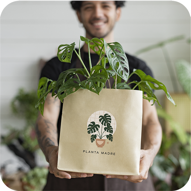 Plantamadre