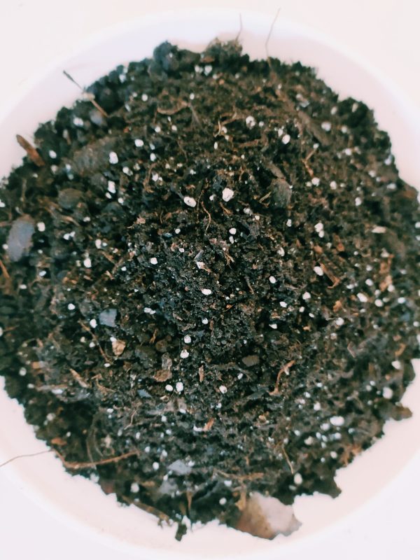 Compost Orgánico  Novo Fértil 25dm - Image 2