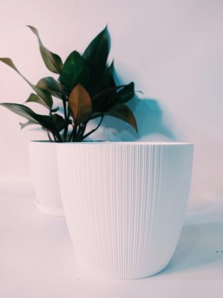 Maceta Redonda Texturada Paris T.A. Plastic 27 Blanca