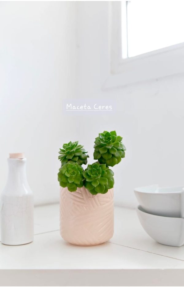Maceta Ceres chica 13 x 9.5cm. POR PEDIDO