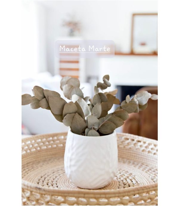 Maceta Marte 12 x 9.5cm. POR PEDIDO