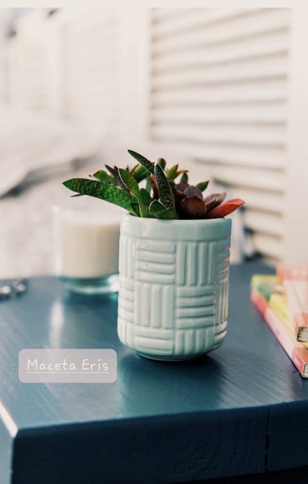 Maceta Eris chica 10.5 x 7.5cm. POR PEDIDO