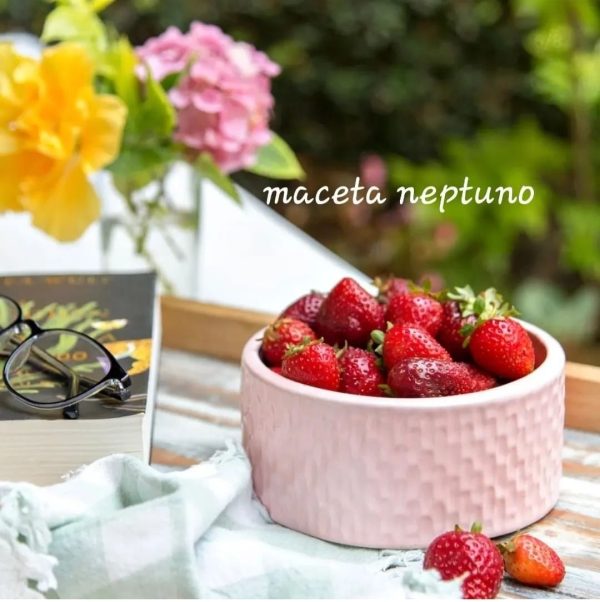 Maceta Neptuno 5x12cm. X PEDIDO