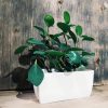 Jardinera Premium T.A. Plastic N°25 Blanca - Image 2
