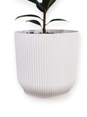 MILAN T.A. PLASTIC BLANCA N°25