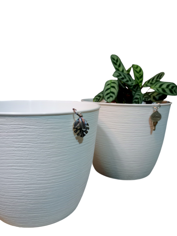 Dije Nuevo! Maceta Texturada Matri N°18 Blanca - Image 8