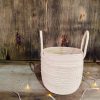 COMBO EXCLUSIVO: CESTO DE CARANDILLO + SANSEVIERIA HANNI - Image 7