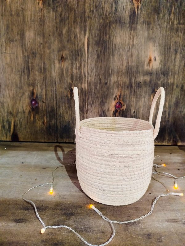 COMBO EXCLUSIVO: CESTO DE CARANDILLO + SANSEVIERIA HANNI - Image 7