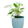 MILAN T.A. PLASTIC MUSGO N°20 - Image 3