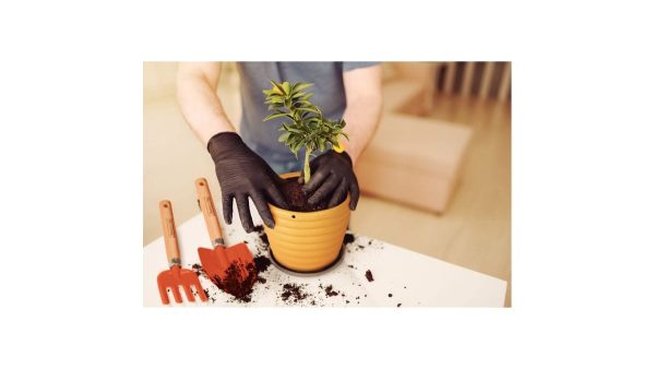 Kit Herramientas para Jardín con Mangos de Madera y Embalaje Plástico 3 pzas. - Image 4