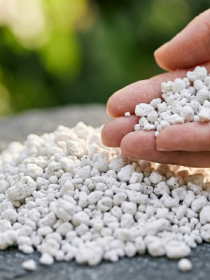 PERLITA EXPANDIDA: OXIGENACIÓN Y DRENAJE SUPERIOR 🌬️💧