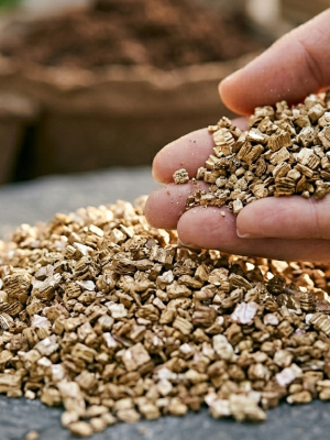 Vermiculita Premium: El Almacén de Hidratación y Nutrientes 💦🔋