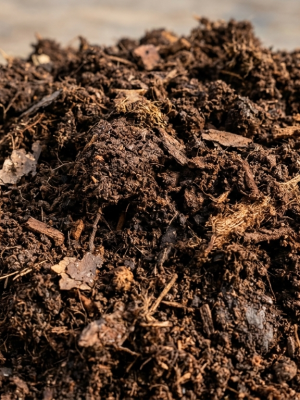 Sustrato Ácido: El pH Perfecto para Jazmines, Azaleas y tu Selva Interior ⚡🌿