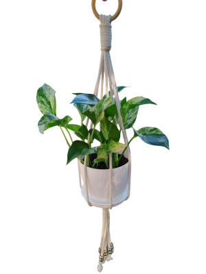 Potus Marmolado & Macramé: El Dúo Perfecto para Decorar en Altura ✨🏡